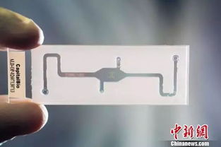 全國320萬新生兒接受遺傳性耳聾基因篩查 軟件開發(fā)的關(guān)鍵作用與現(xiàn)代應(yīng)用