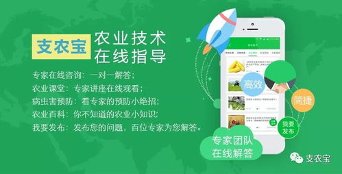 農業技術推廣與軟件開發 一場數字時代的持久戰