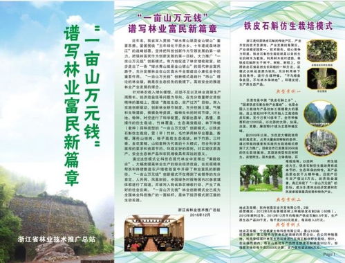 浙江省林業(yè)技術(shù)推廣總站的使命與實(shí)踐 架起科技與林農(nóng)的橋梁